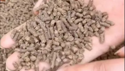 豆粕现货(豆粕现货库存总量)