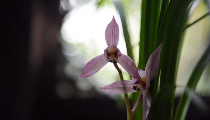 考公，到底是靠运气还是实力？