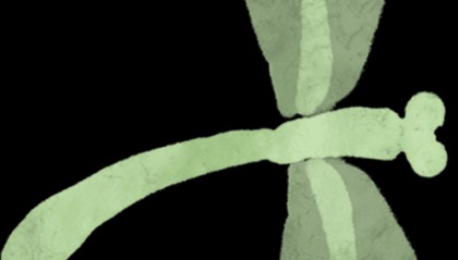 【就业资讯】2025招聘信息（第五期）