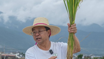 资讯有故事︱农业科技小院为何能走向世界？全国人大代表张福锁这样说→