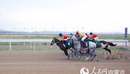 2025内蒙古呼和浩特速度赛马常规赛暨速度赛马积分赛开赛