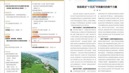 中共重庆市开州区委常委、组织部部长杨业：锻造堪当“十五五”开局重任的骨干力量
