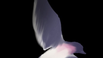 资讯 | 支支通优惠来乌海看红嘴鸥100元起！