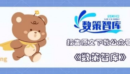 特易资讯：2025年菲律宾市场贸易发展白皮书