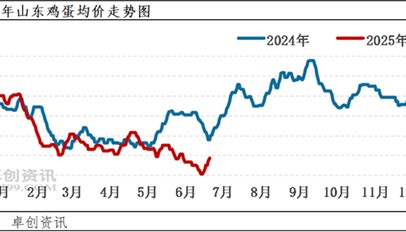 卓创资讯：山东蛋价短期快涨 后市或稍显弱势