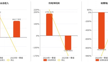 中创环保(300056.SZ)2025年一季报净利润为-1148.66万元，同比由盈转亏