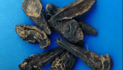 云南省疾控中心发布紧急提醒