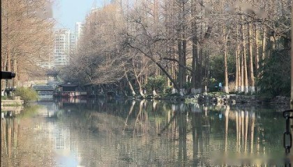 千年古河上的移动博物馆：杭州水上巴士7号线深度探秘