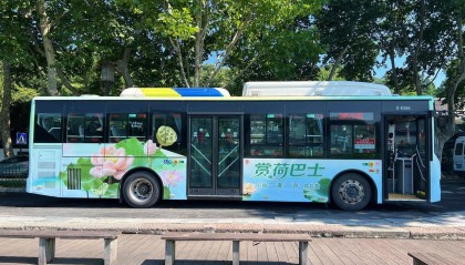 载着西湖烟雨、共赴夏日“荷”约，杭州公交“赏荷巴士”启程
