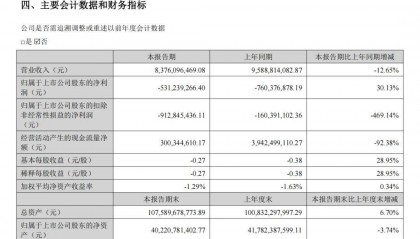 赣锋锂业亏损收窄，半年净利-5.31亿