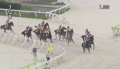 日本赛马再出事故！马匹被困闸箱、赛事被紧急叫停