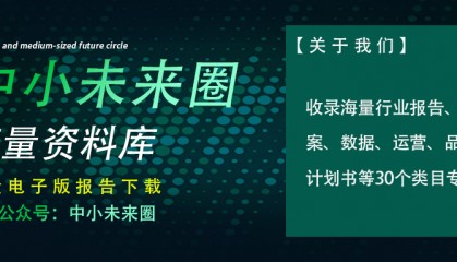 2025非美市场贸易开发指南-特易资讯