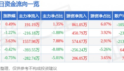 股票行情快报：滨海能源（000695）8月13日主力资金净买入191.19万元