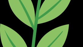 【就业资讯】2025招聘信息（第七期）