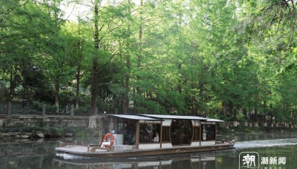 气温回暖 杭州“最美水上巴士”春日出游火爆