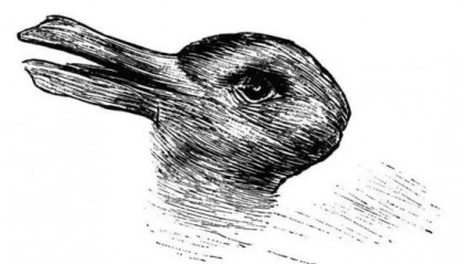 投资大家谈 | 看破市场当中的“鸭兔幻象”——从巴菲特的价值投资视角对华尔街一些理念的分析