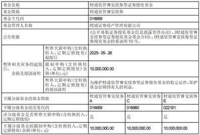 财通资管睿安债券型证券投资基金暂停大额申购、转换转入、定期定额投资业务公告