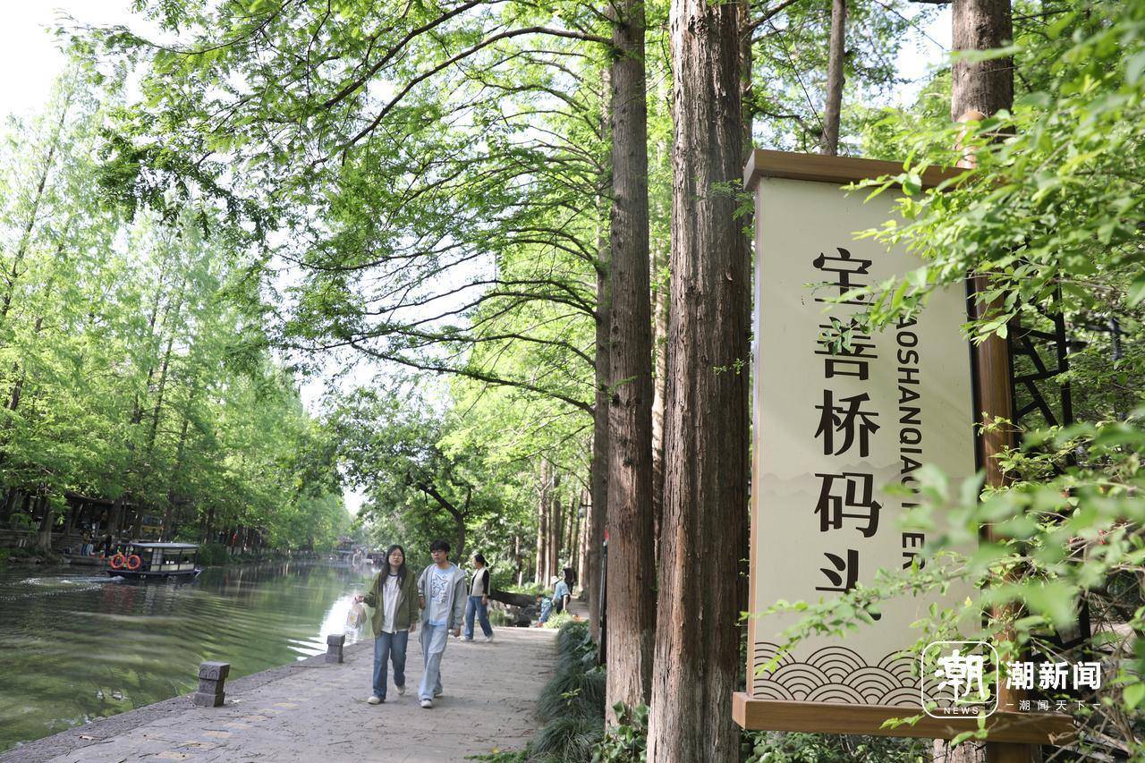 气温回暖 杭州“最美水上巴士”春日出游火爆