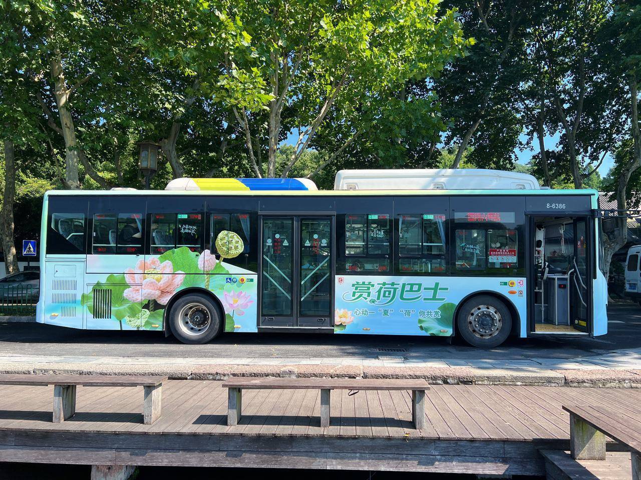 载着西湖烟雨、共赴夏日“荷”约，杭州公交“赏荷巴士”启程