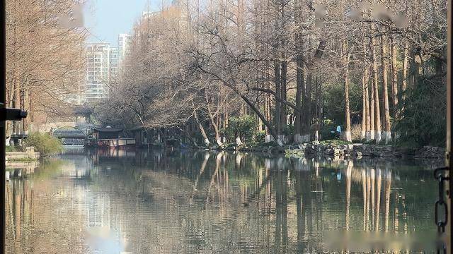 千年古河上的移动博物馆：杭州水上巴士7号线深度探秘