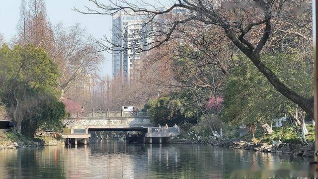 千年古河上的移动博物馆：杭州水上巴士7号线深度探秘
