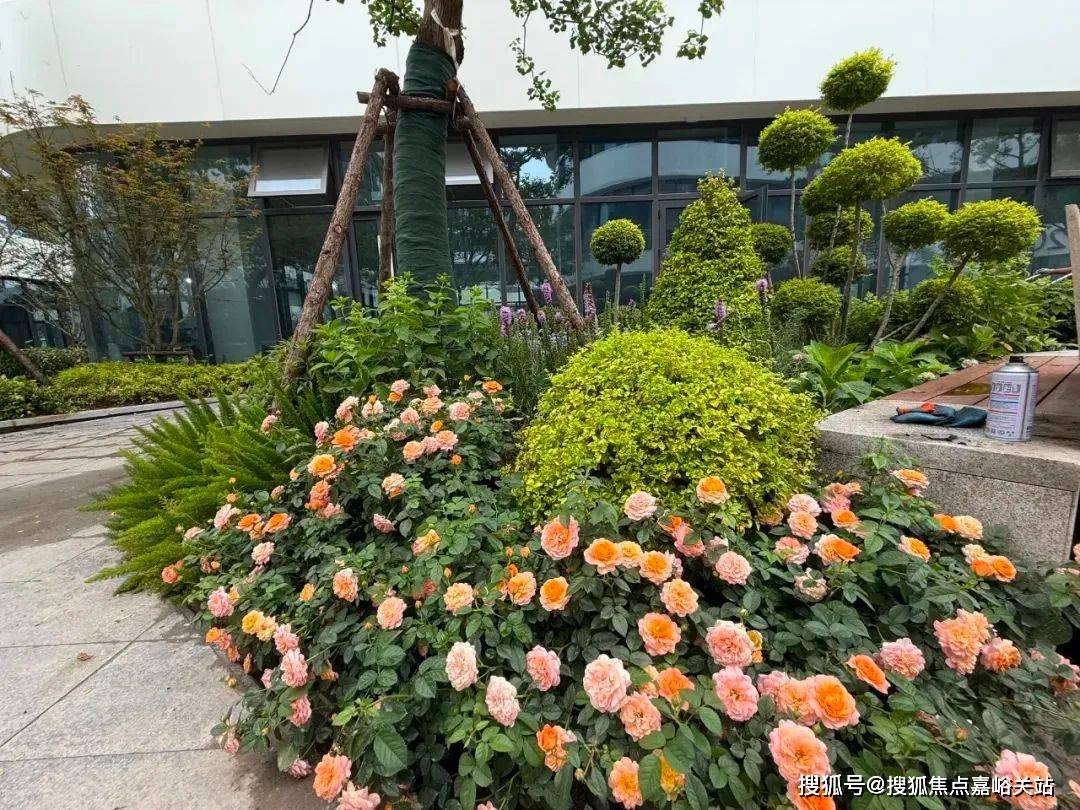 MAX未来科技园(售楼处)首页网站-MAX未来科技园售楼处欢迎您-MAX未来科技园楼盘详情-户型配套-最新价格-MAX未来科技园最新资讯-MAX未来科技园售楼处位置