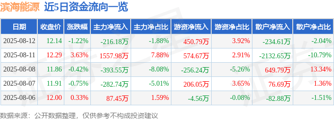 股票行情快报：滨海能源（000695）8月12日主力资金净卖出216.18万元