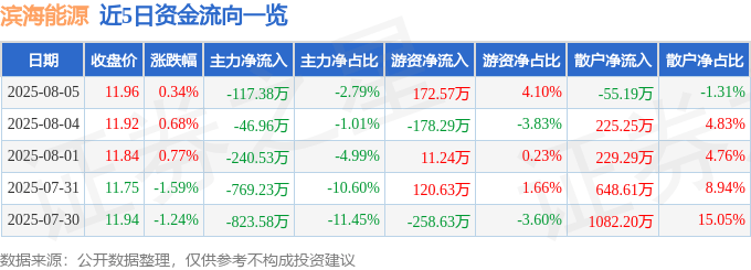 股票行情快报：滨海能源（000695）8月5日主力资金净卖出117.38万元