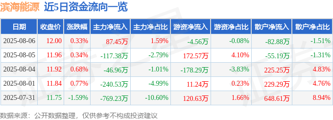 股票行情快报：滨海能源（000695）8月6日主力资金净买入87.45万元