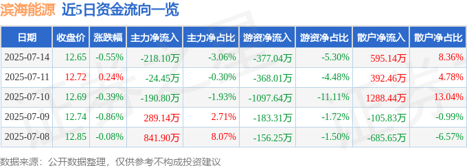 股票行情快报：滨海能源（000695）7月14日主力资金净卖出218.10万元