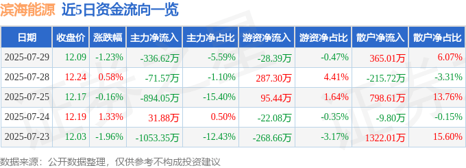 股票行情快报：滨海能源（000695）7月29日主力资金净卖出336.62万元