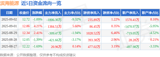 股票行情快报：滨海能源（000695）9月2日主力资金净卖出1806.30万元
